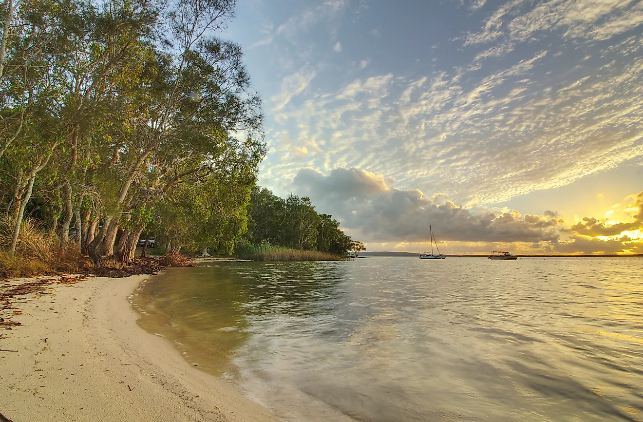 The Lake Cootharaba landscape in Boreen Point, Queensland. 