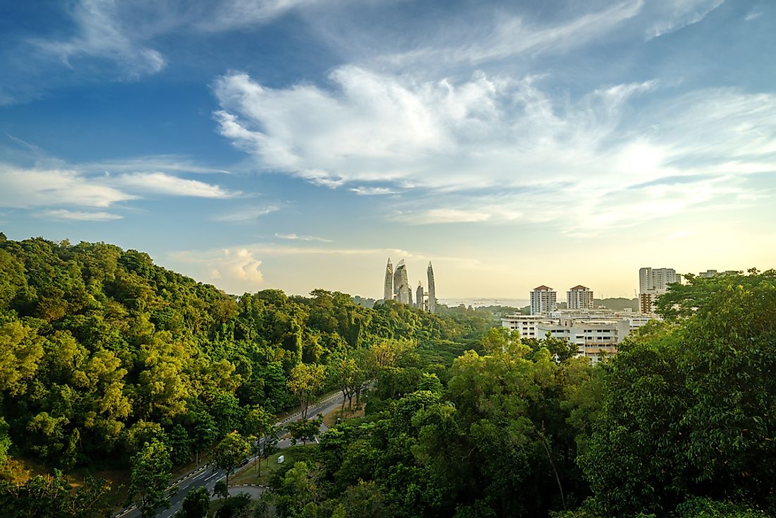 Although it may be surprising to some, Singapore is in fact a very green city. 