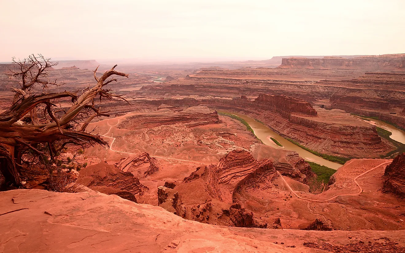 Dead Horse Point State Park with bike trails. 
