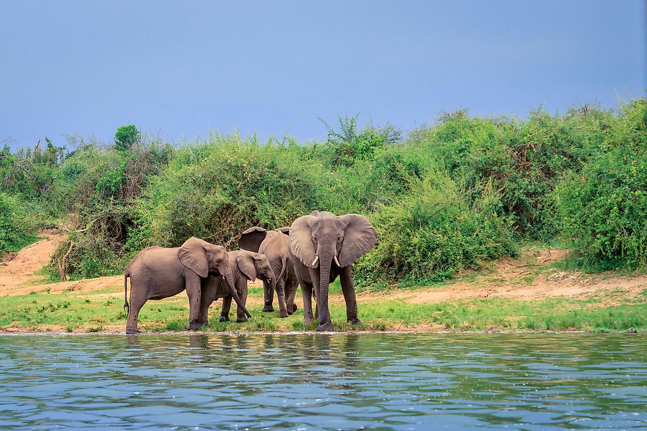 Lake Edward, Africa