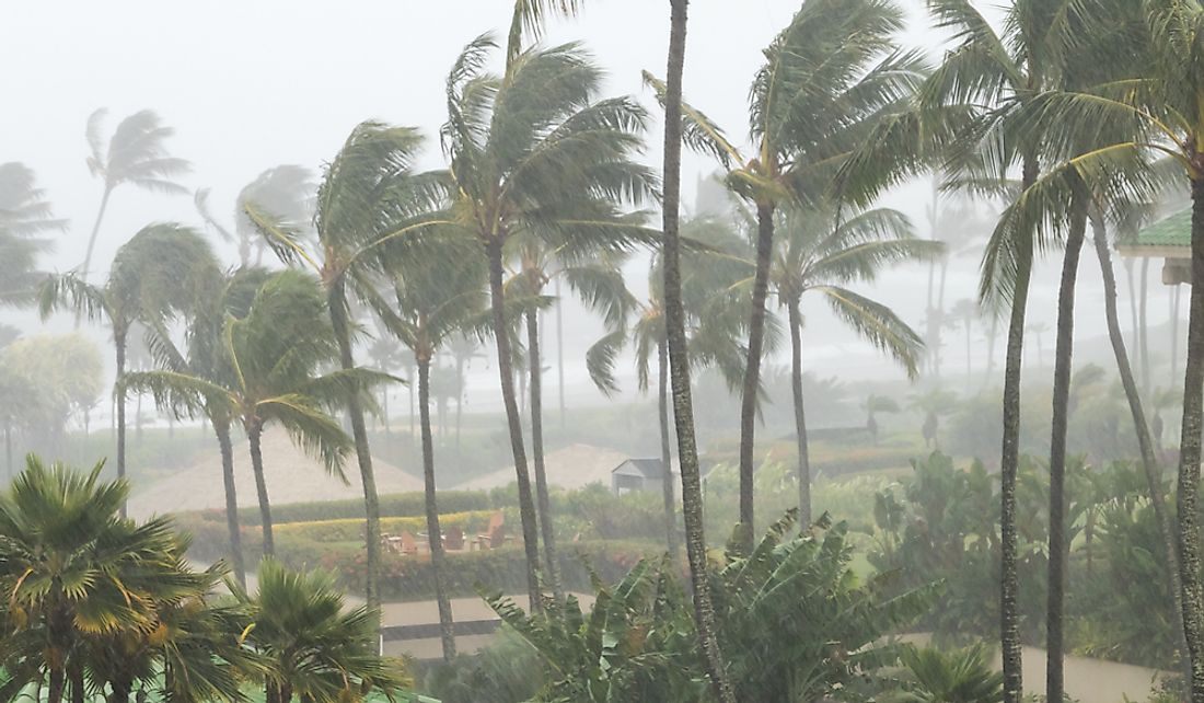 Hawaii sees the most annual rainfall of the US states.