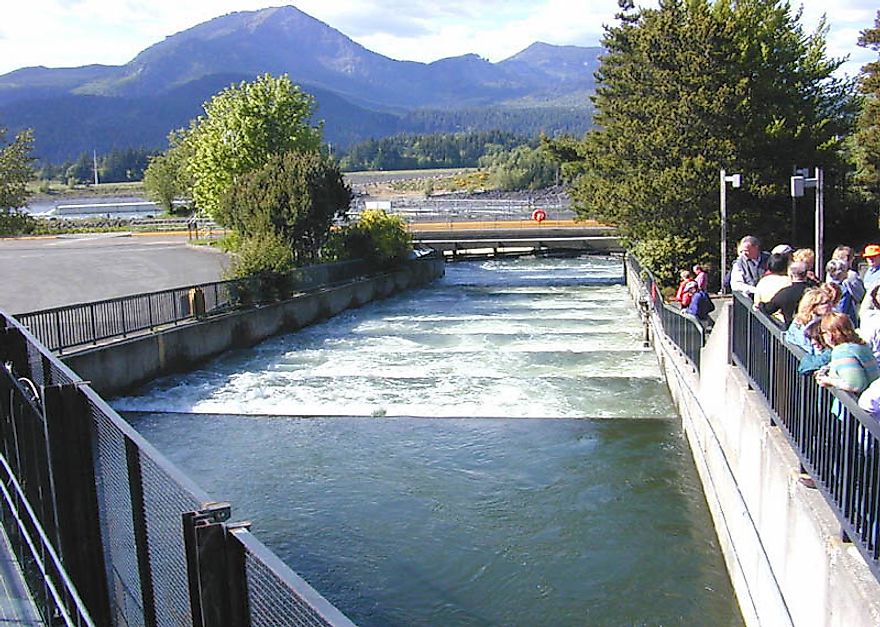 Pool-and-weir fish ladder at Bonneville Dam on the Columbia River.