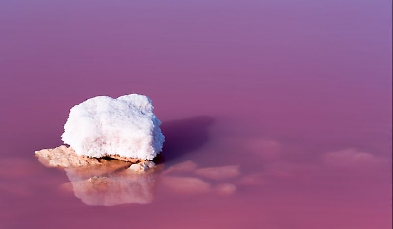 A close-up of the bright pink water of Las Salinas de Torrevieja in Torrevieja, Spain. 