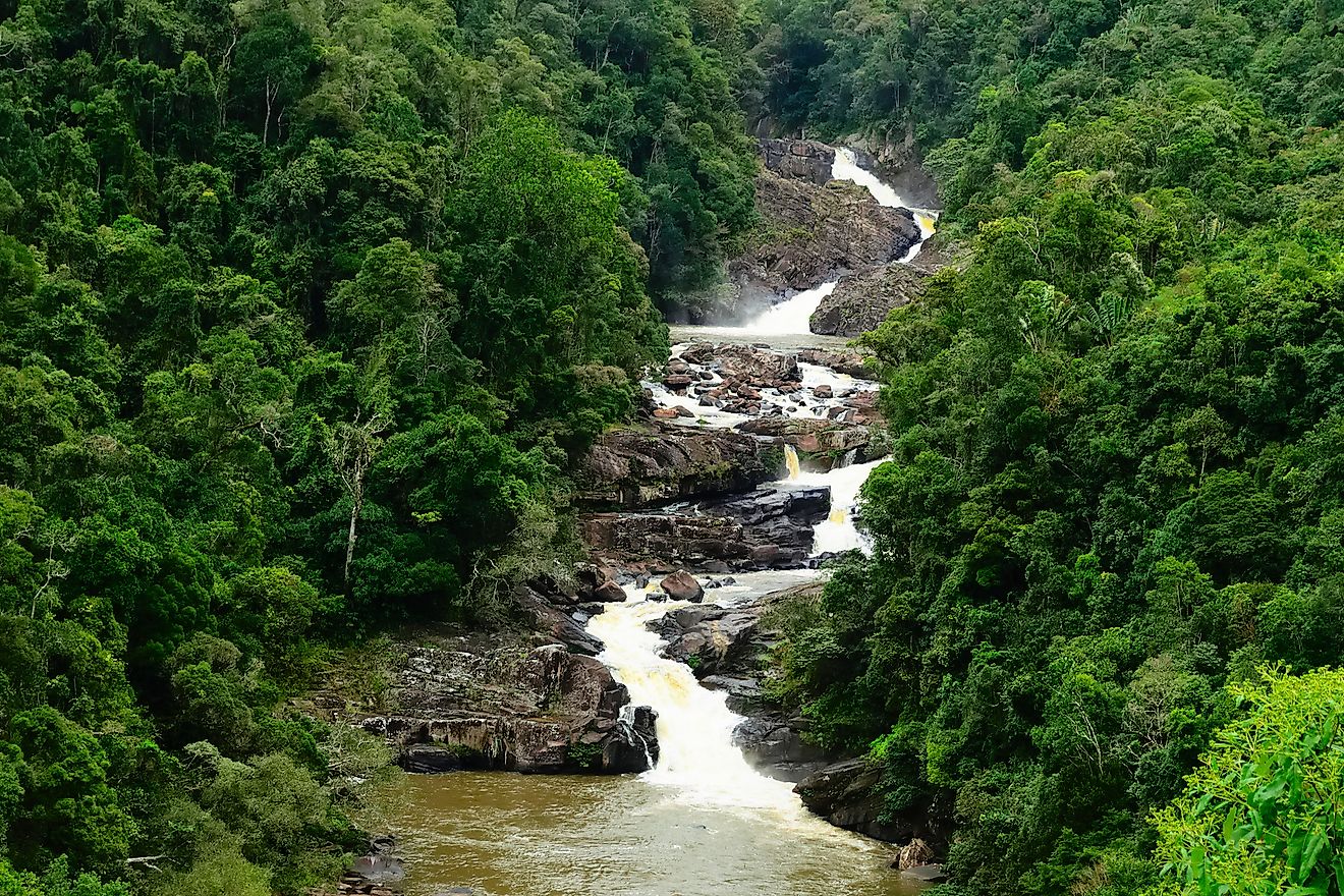 Evergreen tropical rainforest with rocky small waterfall crossing in the middle in Ranomafana national park Madagascar. Image credit: Hajakely/Shutterstock.com