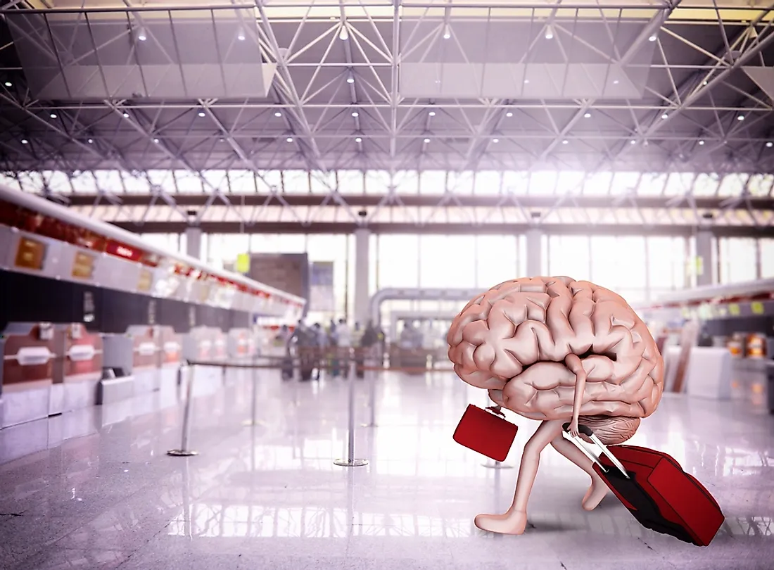 An artistic's interpretation of "brain drain".