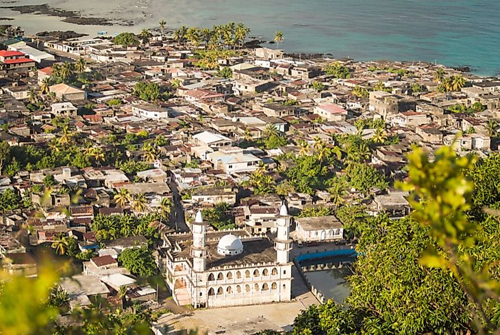 Many species of birdlife unique to the Comoros Islands are threatened with extinction due to loss of habitat and hunting.  Editorial credit: Evgeny Shulin / Shutterstock.com