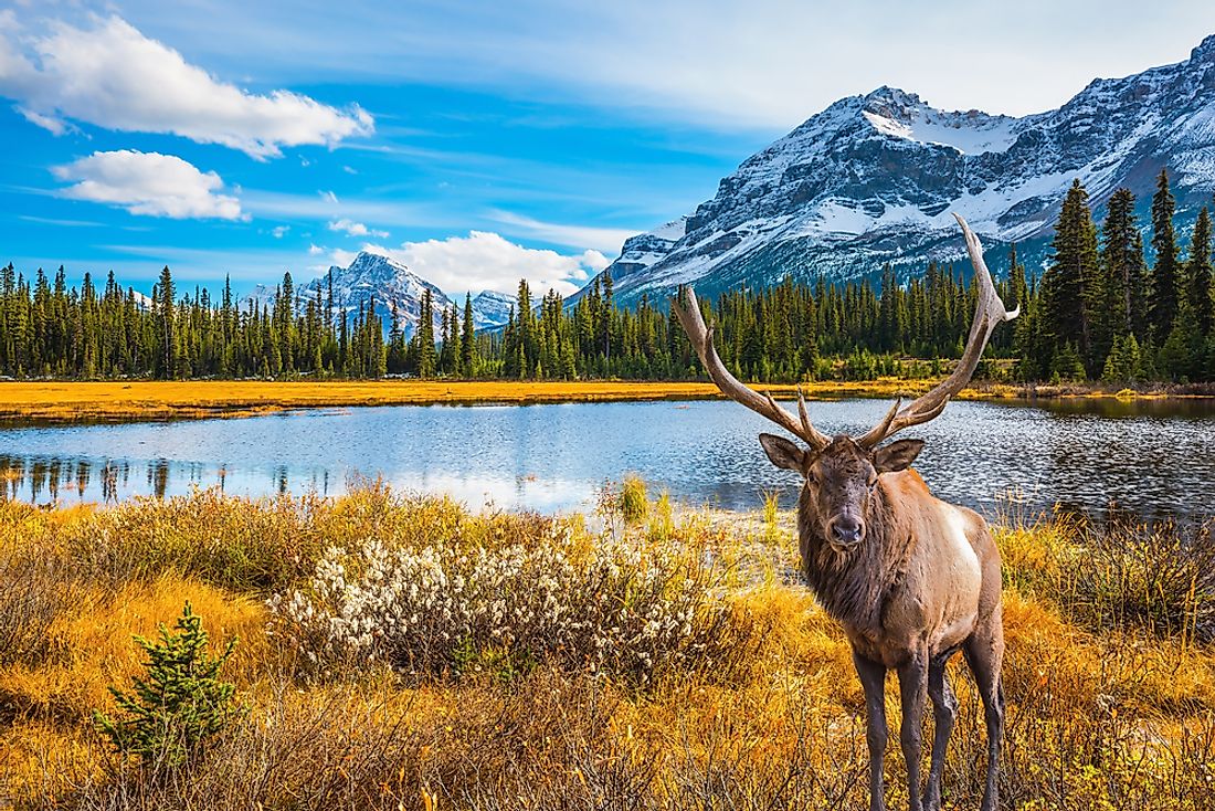 places to visit in canada during october