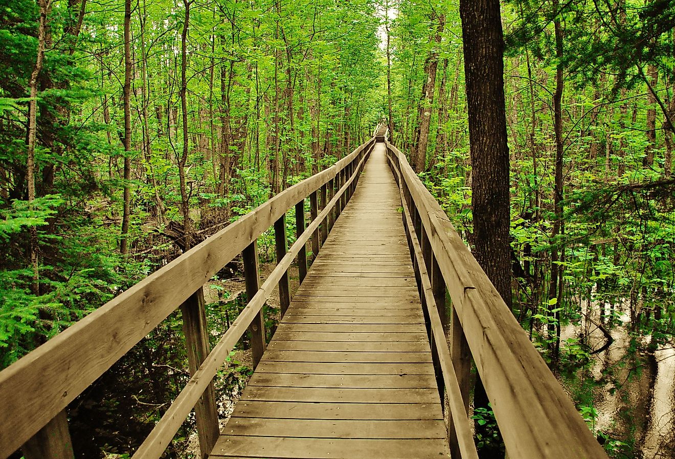 Bridge walkway in Voyageurs National Park
