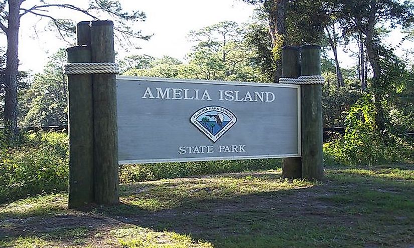 Amelia Island is popular among tourists for its beaches, fresh breeze, greenery, and unique biodiversity.