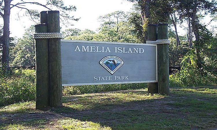 Amelia Island is popular among tourists for its beaches, fresh breeze, greenery, and unique biodiversity.