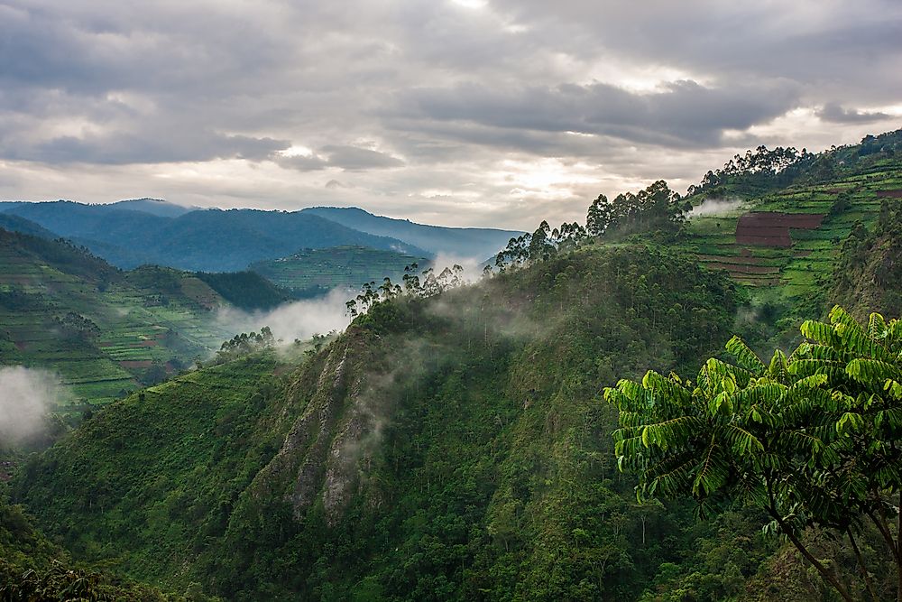 The landscape of Bwindi Impenetrable National Park.