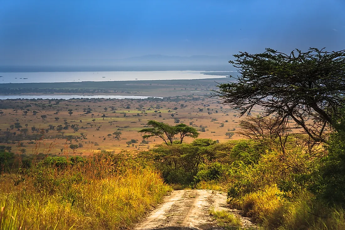 Lake Edward, Queen Elizabeth National Park. 