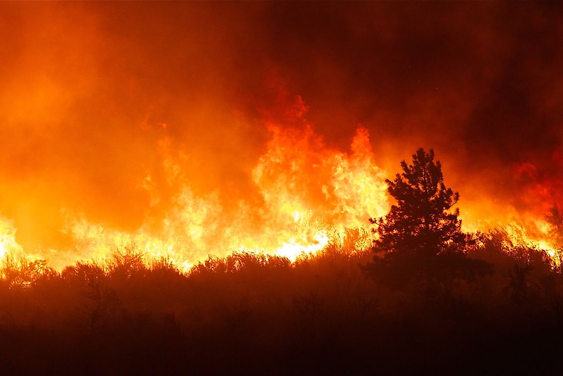 Firestorms have significantly contributed to some of the largest wildfires. 