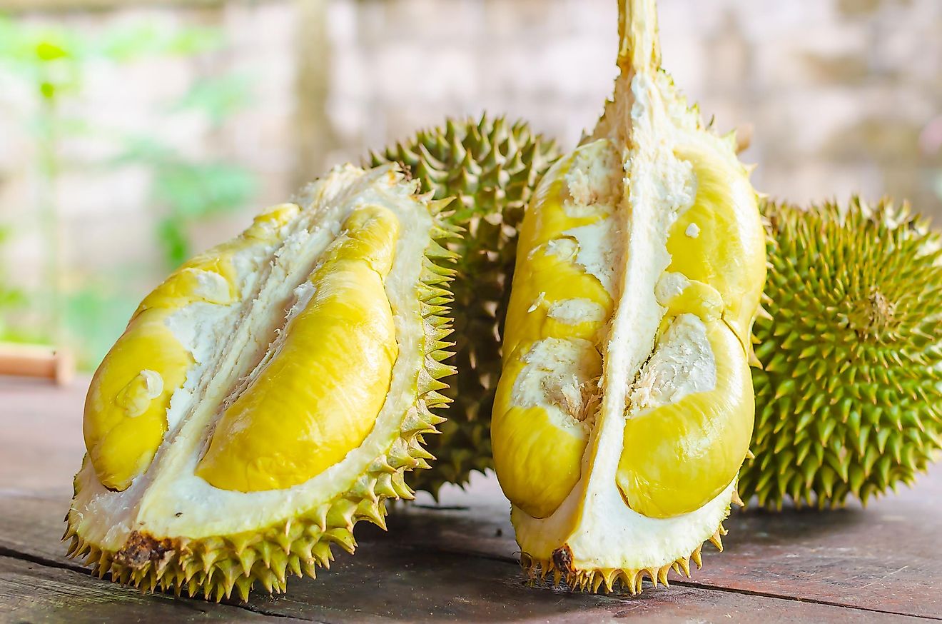 Durian is a fruit notorious for its extremely bad smell.