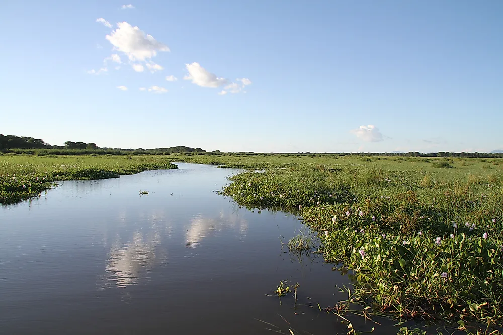 Liwonde National Park in Malawi. 