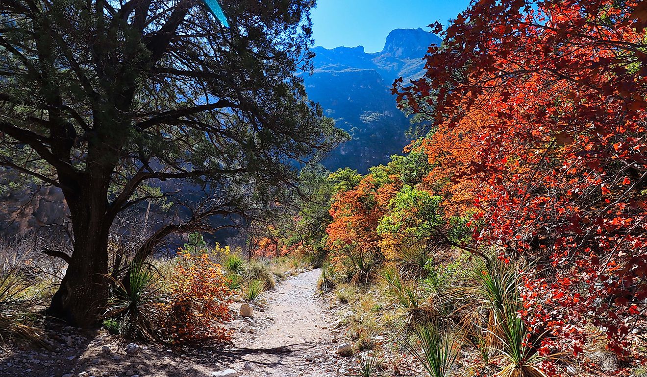 Guadalupe Mountain trail in Texas.