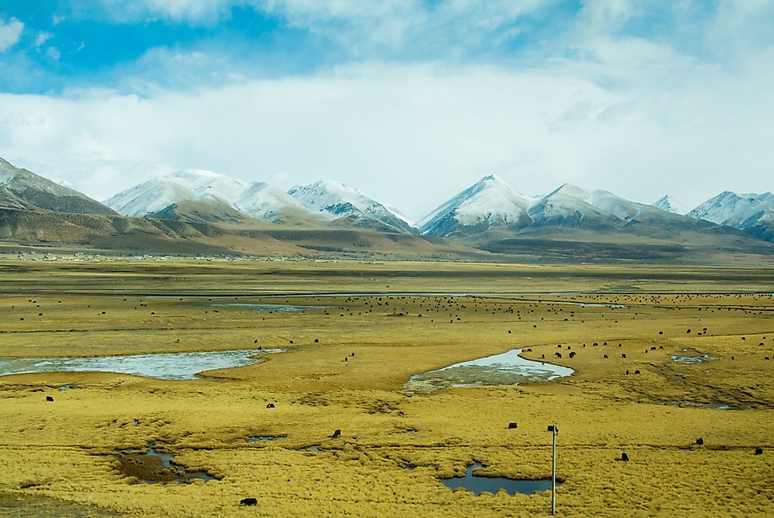 The Tibetan Plateau has been referred to as the "roof of the world". 