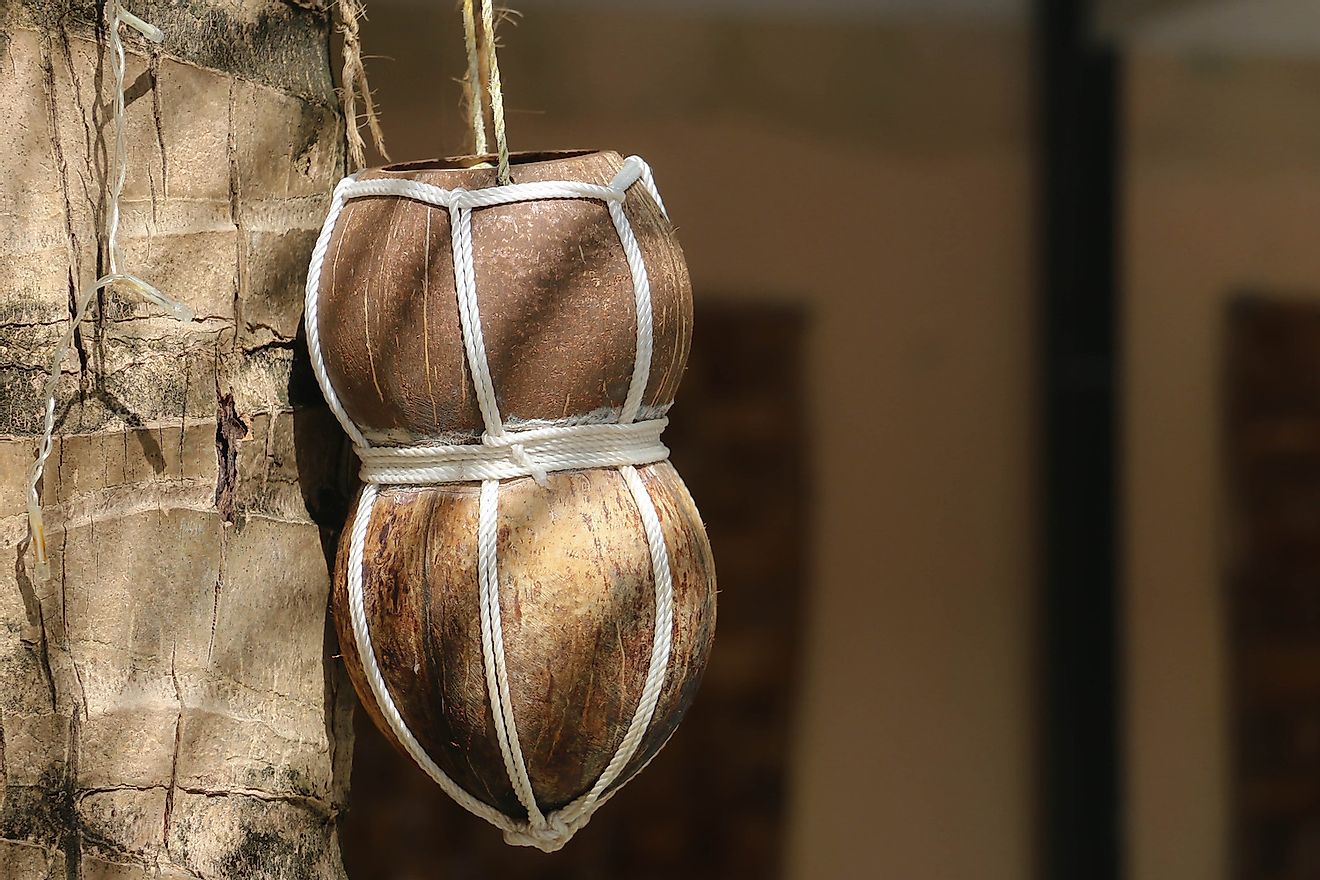Hand made coconut shell craft cup hanging on a tree with a rope. Image credit: Oksana Stock/Shutterstock.com