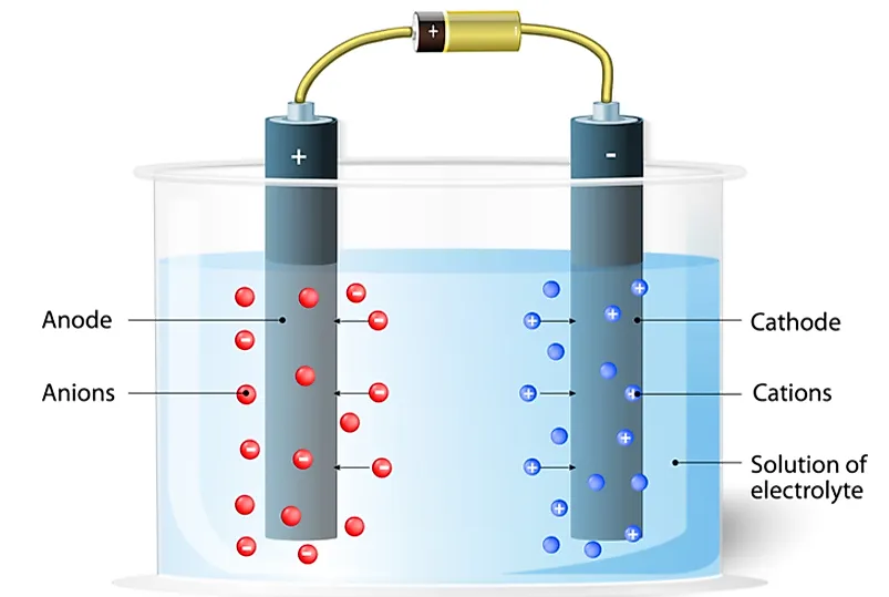 during electrolysis, anions move to the positive electrode which is referred to as the anode, and cations migrate to the negative electrode called cathode.