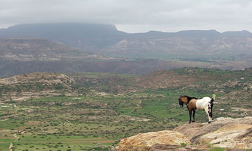  Semien Mountains, Ethiopia