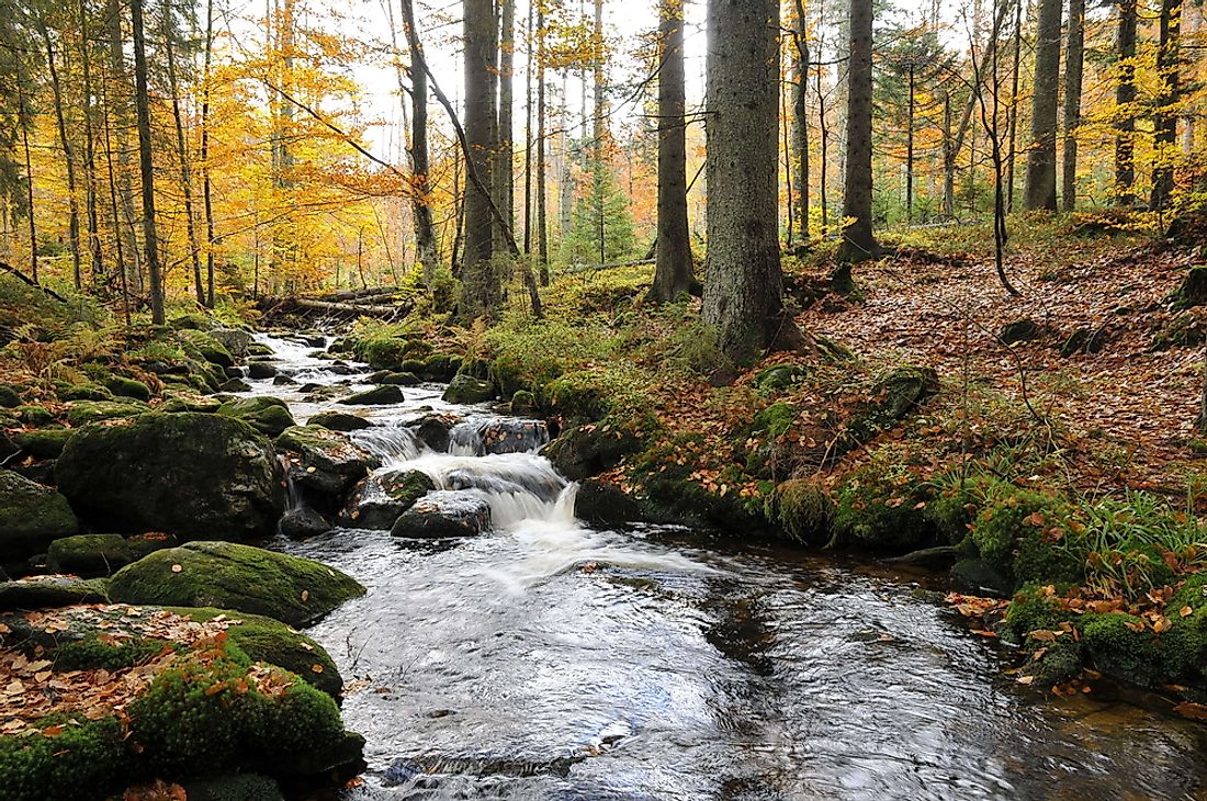 Bavarian Forest National Park. 