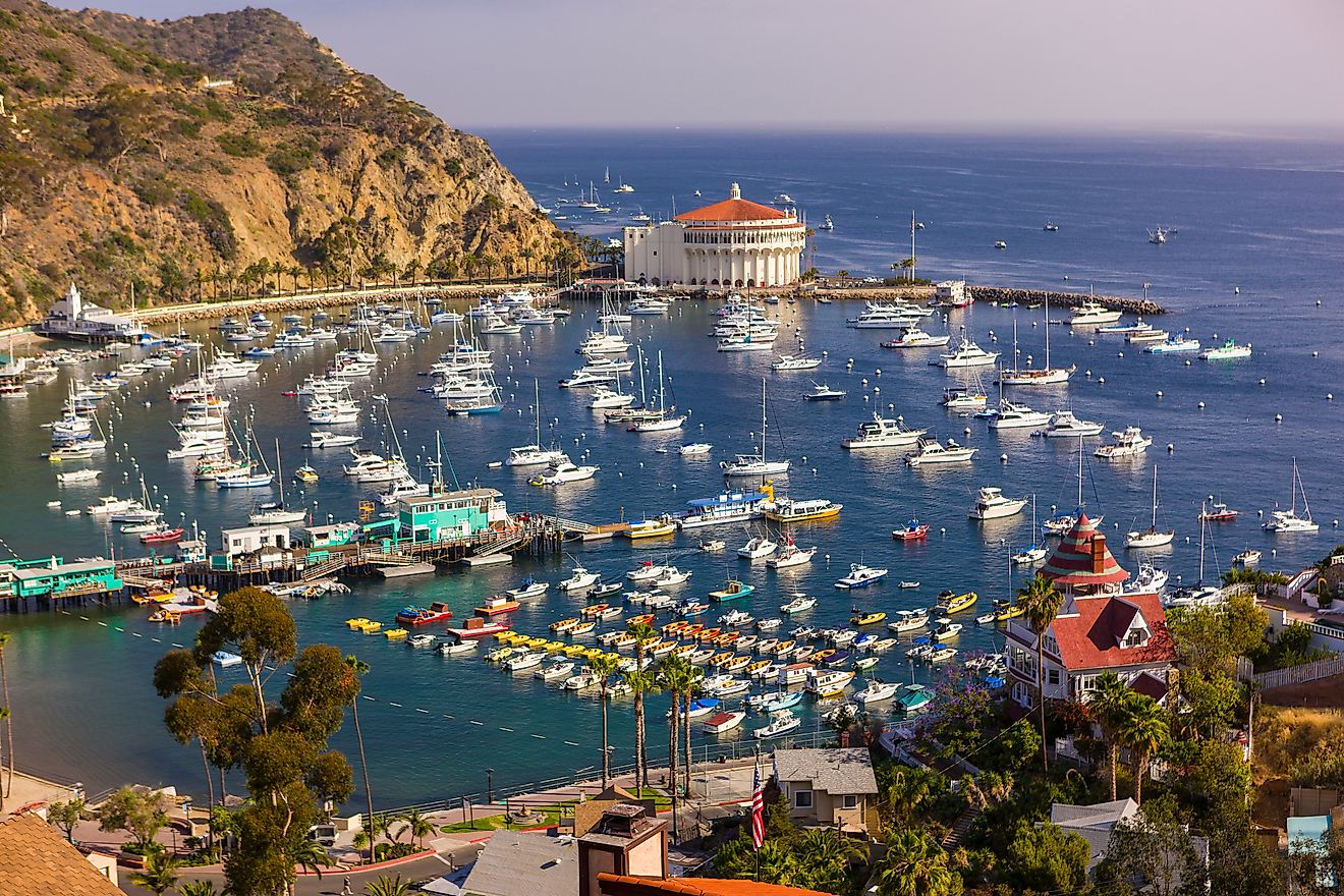 Harbor of Avalon, California, USA