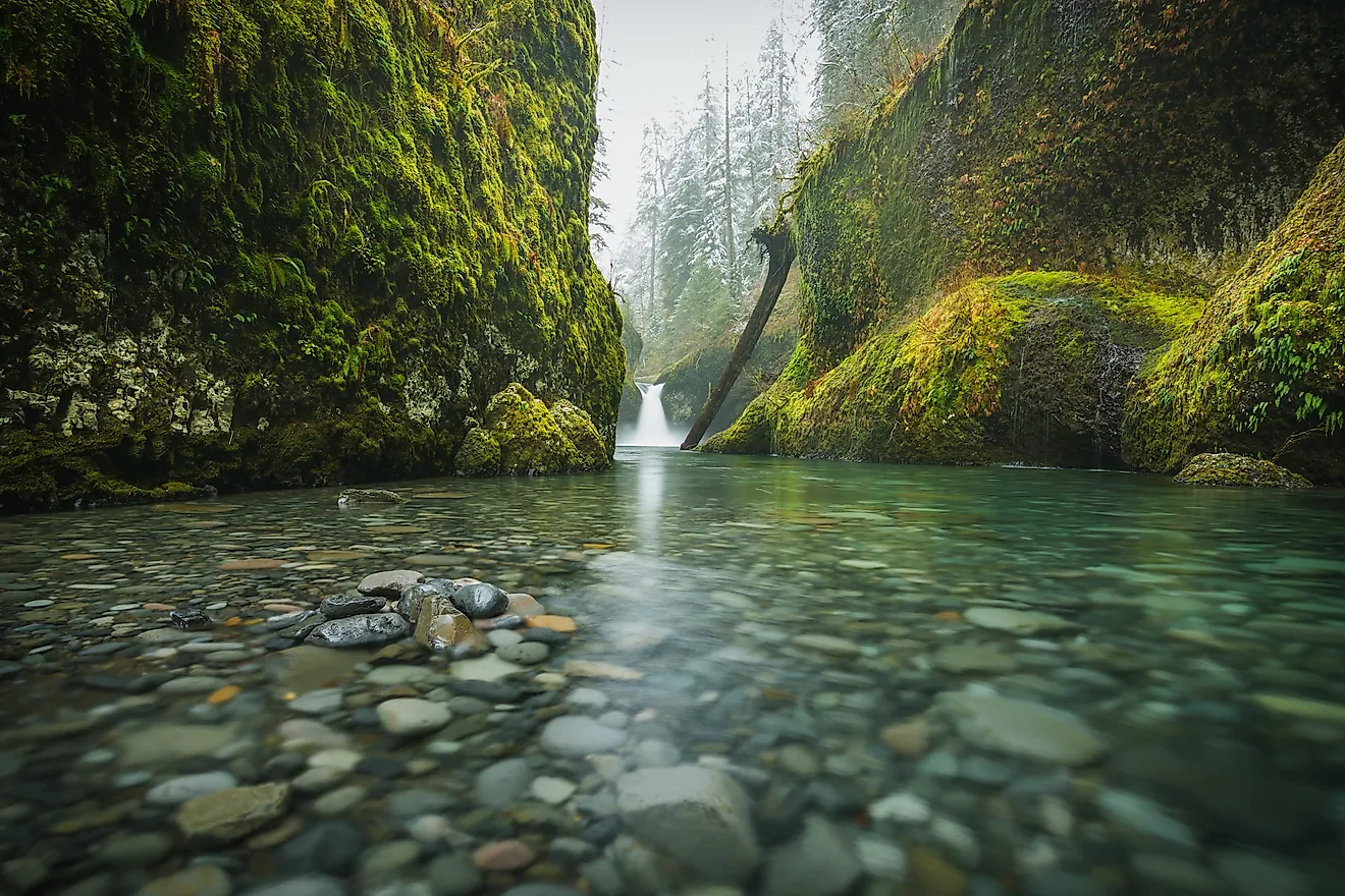 Punch Bowl Falls, Oregon, USA. Image credit: Pat Tr/Shutterstock.com