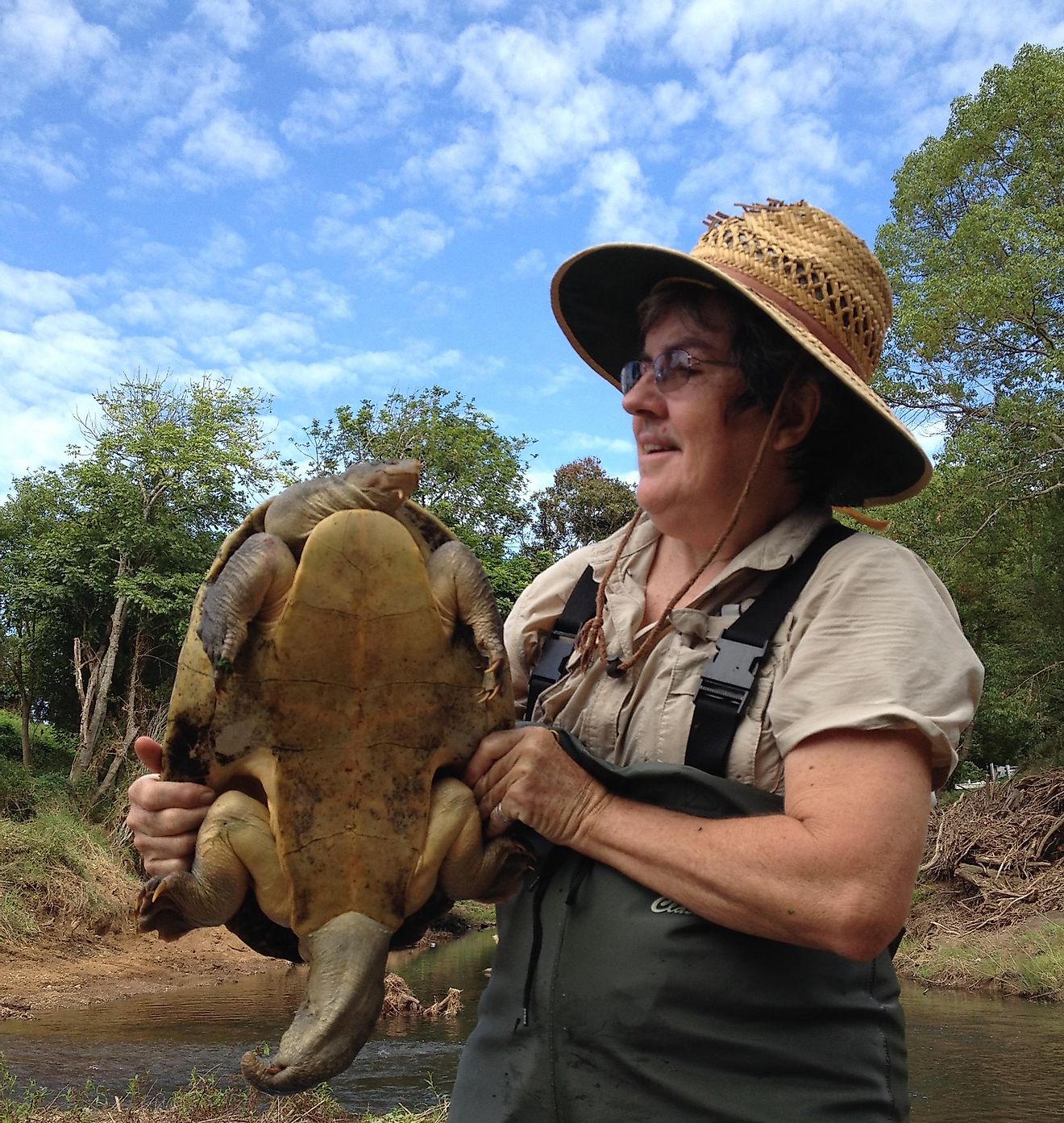 Marilyn Connell, team leader of the Mary River Turtle Conservation Program in Queensland, Australia, holding the endangered Mary River turtle, a species that she is striving hard to protect.