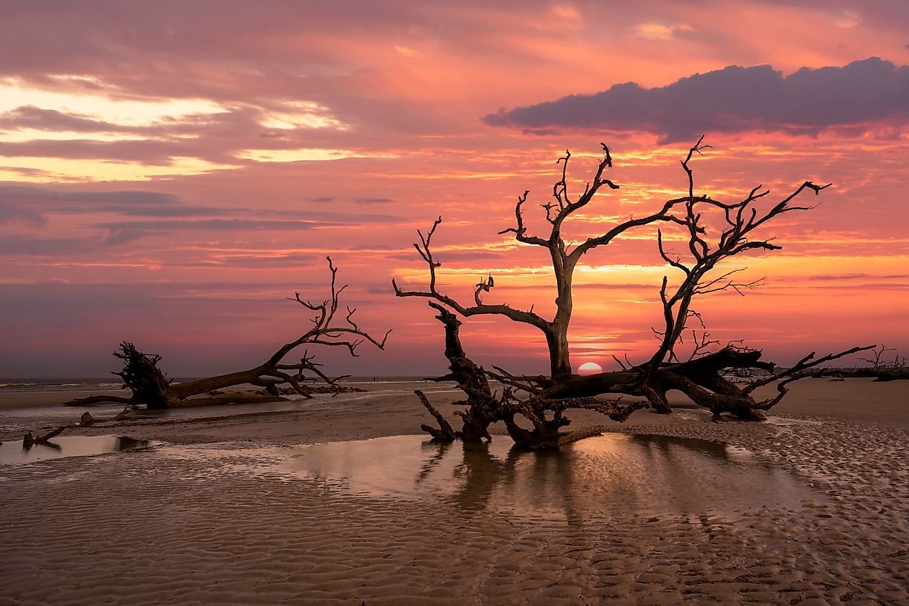 Gorgeous Sunset at Boneyard Beach in Hunting Island State Park South Carolina. 