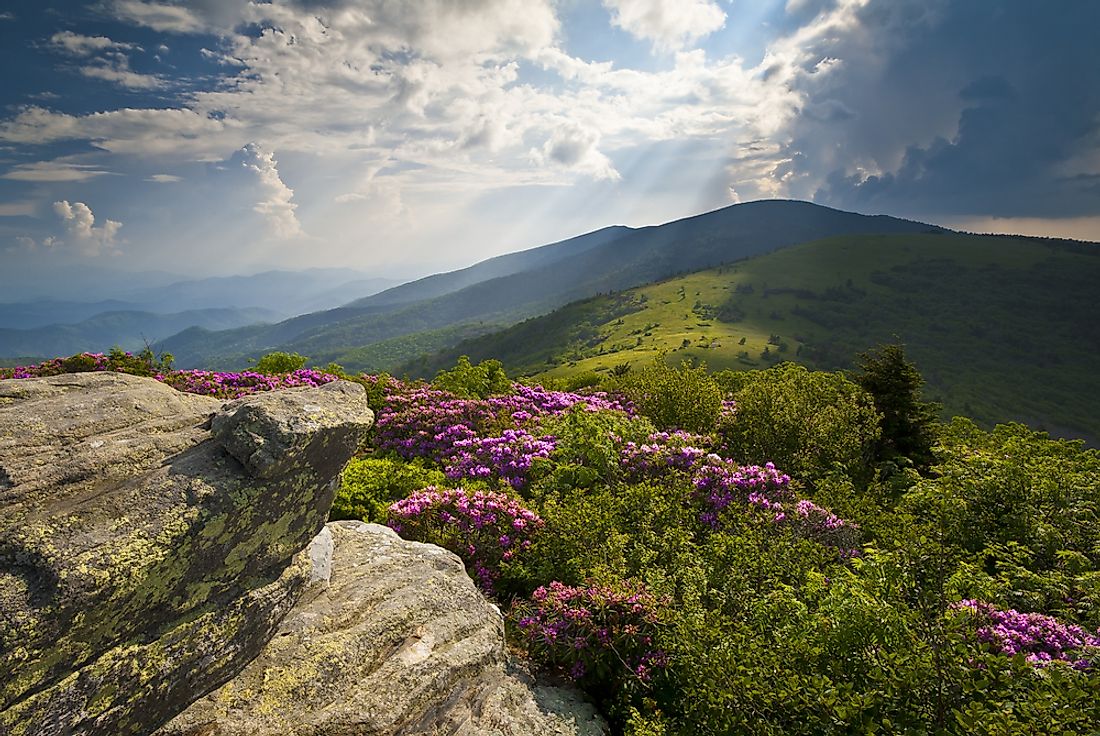 The Appalachian Trail is seen here in Tennessee. 