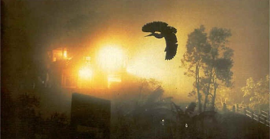 Suicidal birds approach a watchtower in Jatinga.