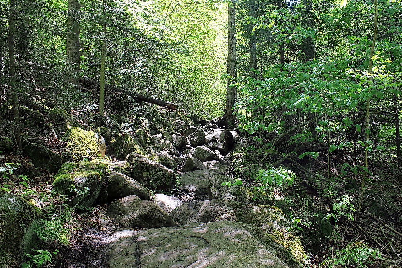 Adirondack Mountains; Trail to Cascade Mountain. Image credit: Yinan Chen/Public Domain