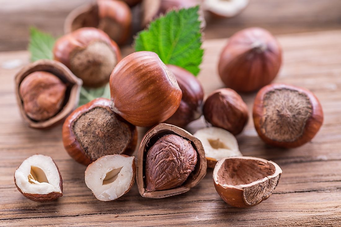 Hazelnut production has increased by 16% over the last ten years.