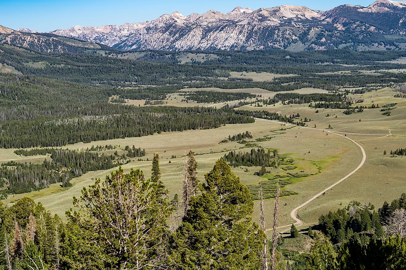 Beautiful valley mountain view with a winding dirt road in the Frank Church Wilderness of Idaho
