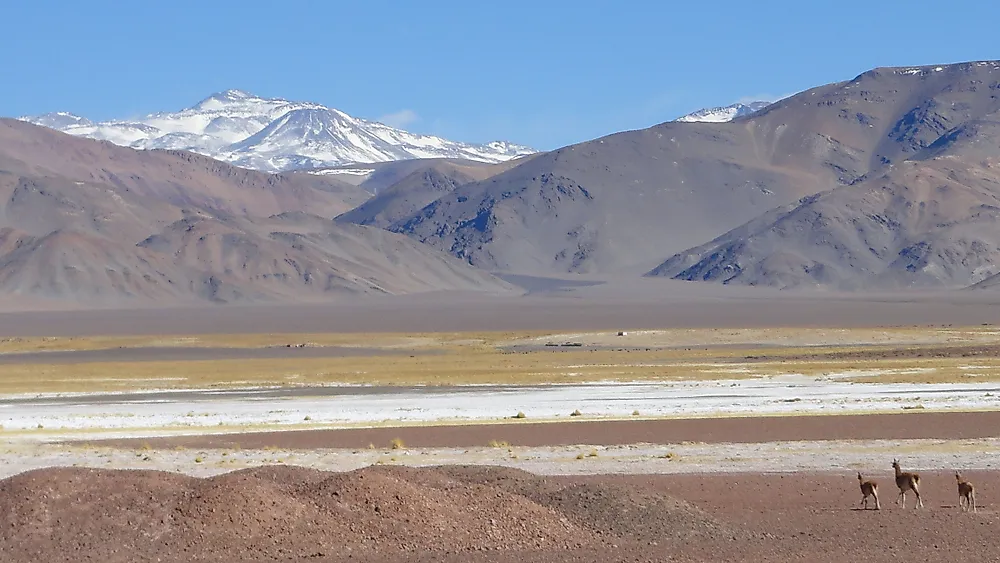 Monte Pissis, one of the tallest volcanoes in South America. 