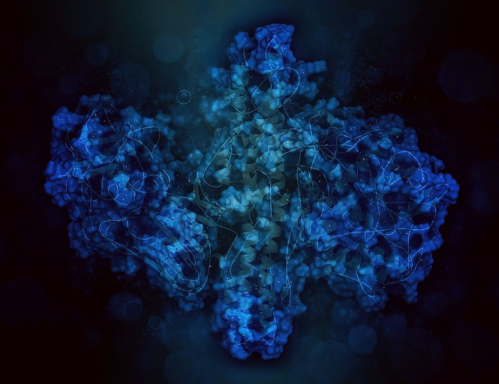 Botulinum toxin neurotoxic protein.