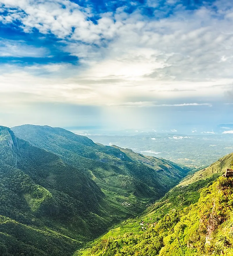 Montane forests at "World's End" in the Horton Plains National Park in Sri Lanka's Central Province.