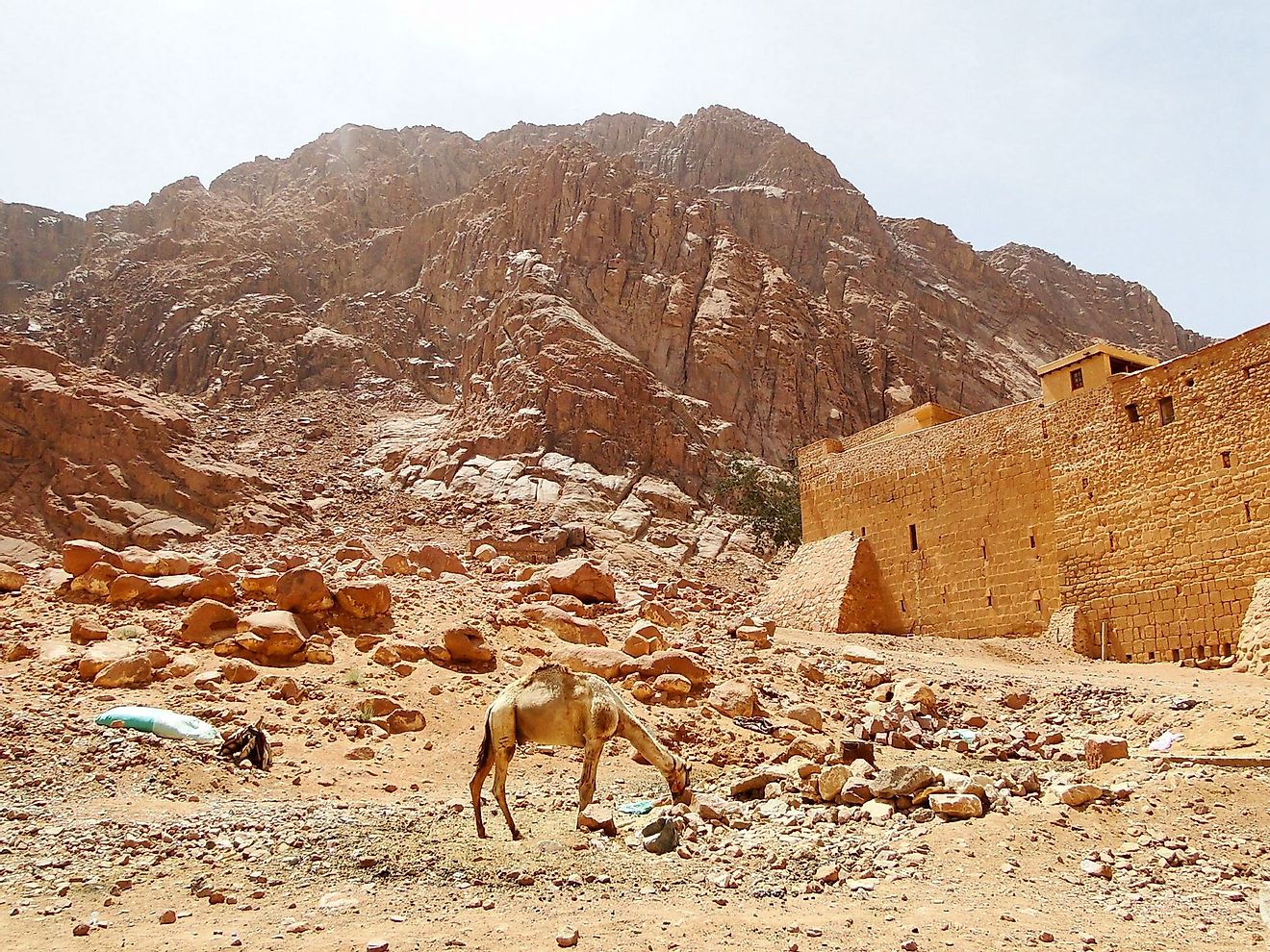 Close view of Mount Sinai in Sinai Peninsula, Egypt. 