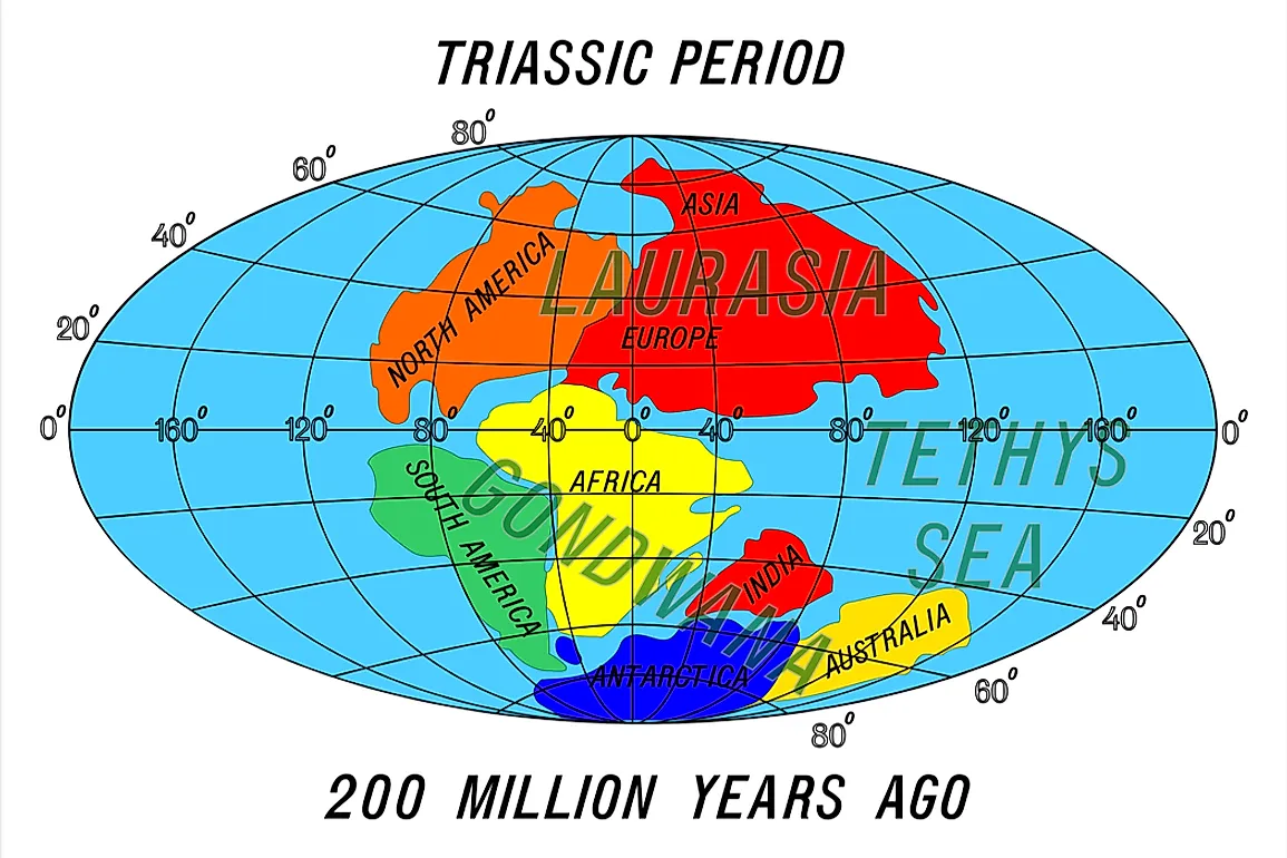 A map of the world demonstrating continental drift. 