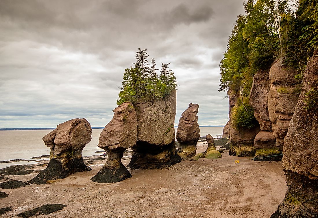 Hopewell Rock formations at low tide. 