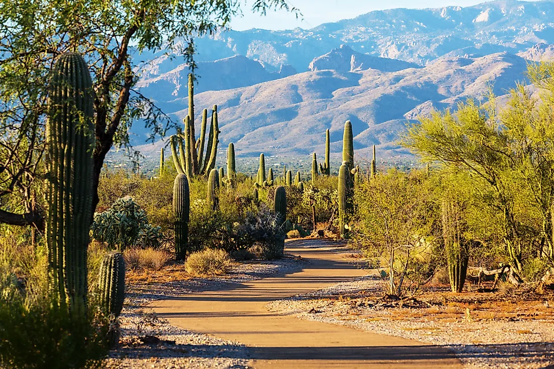 visit arizona in march