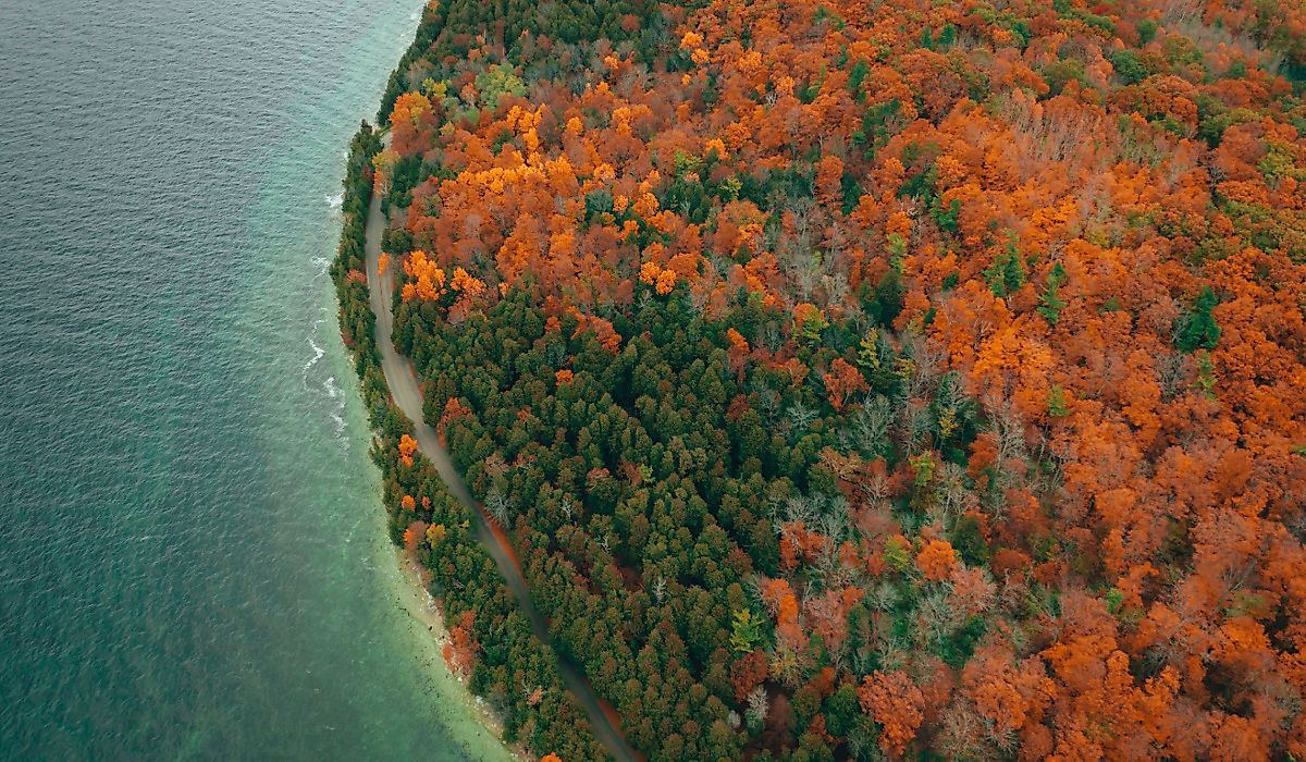  Aerial view of autumn forest in Peninsula State Park, Wisconsin.