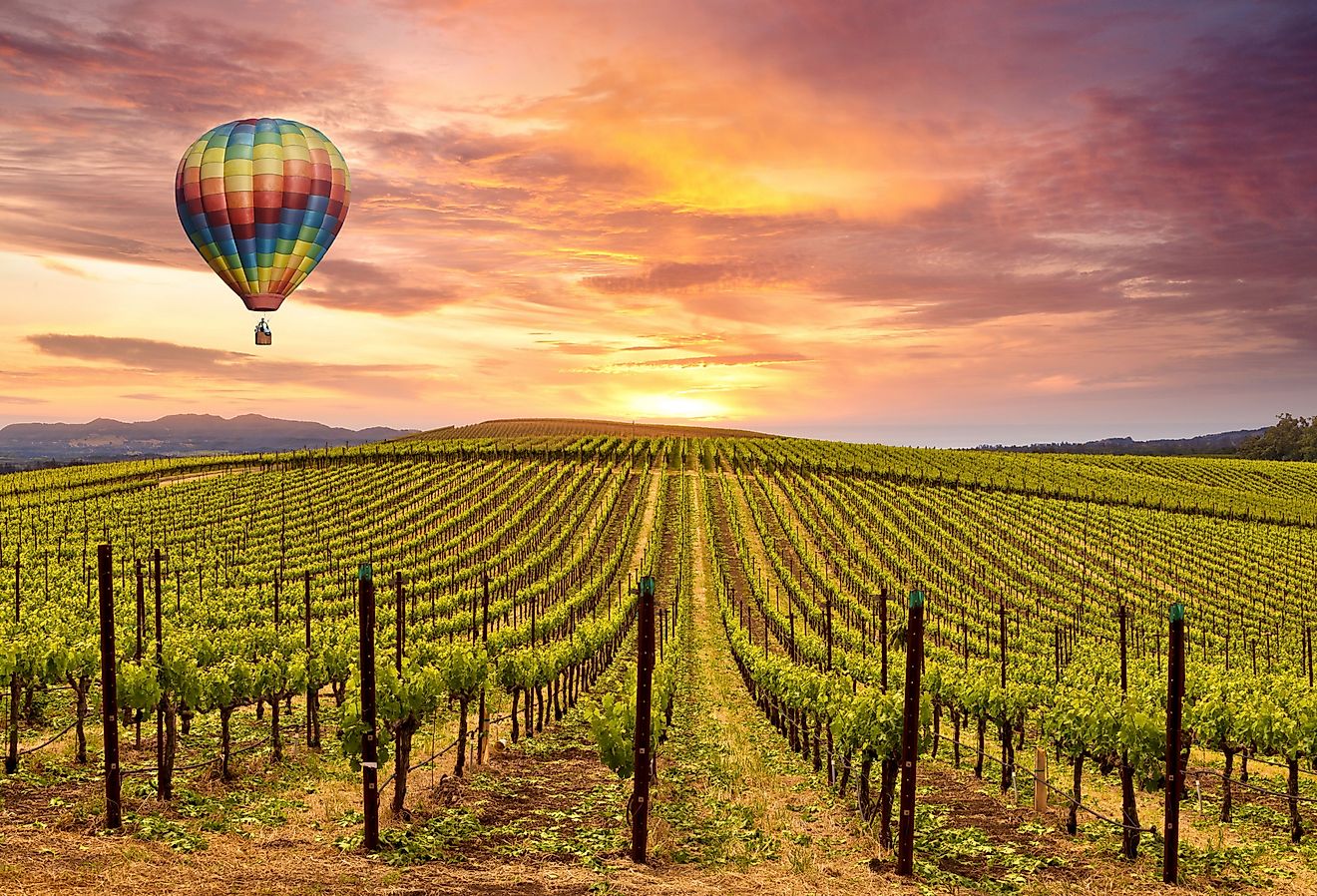 Beautiful sunrise sky, mountains and hot air balloon in Napa Valley.