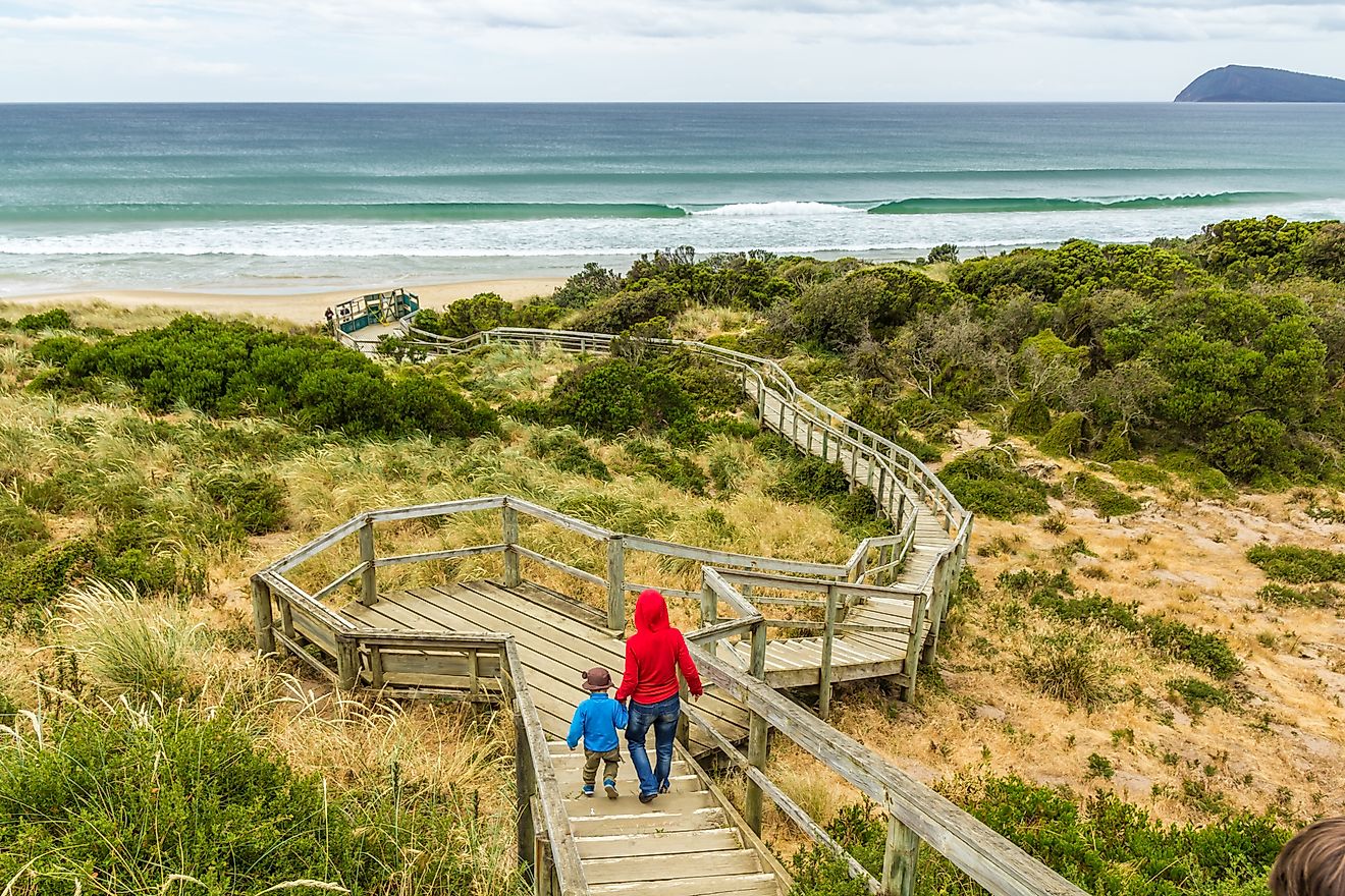 Bruny Island Neck, Tasmania, Australia. Image Credit: Andrew Balcombe / Shutterstock.com