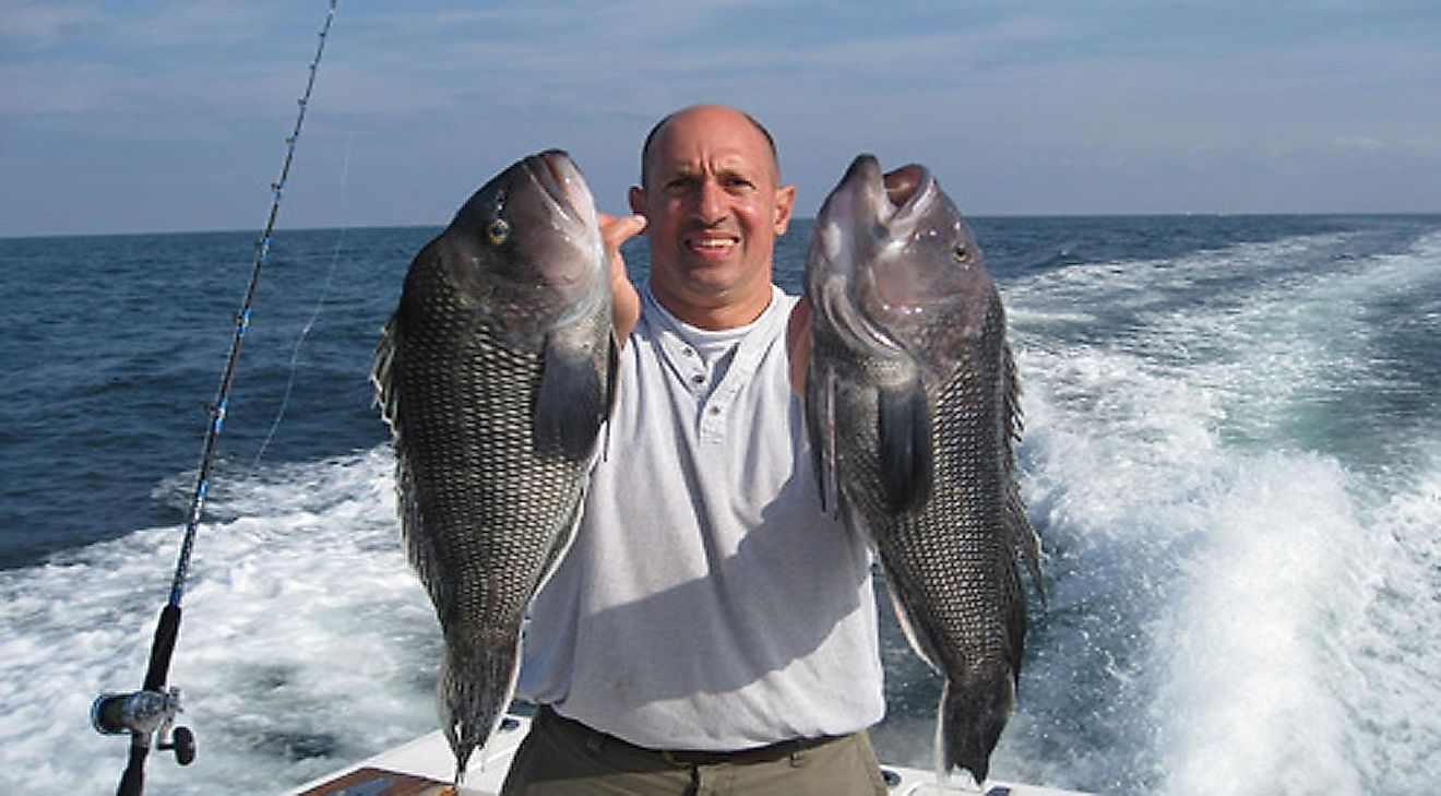 Deep sea fishing in the Gulf of Mexico
