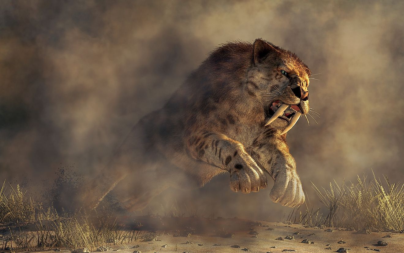 A 3D image of a prehistoric massive smilodon, an extinct species.