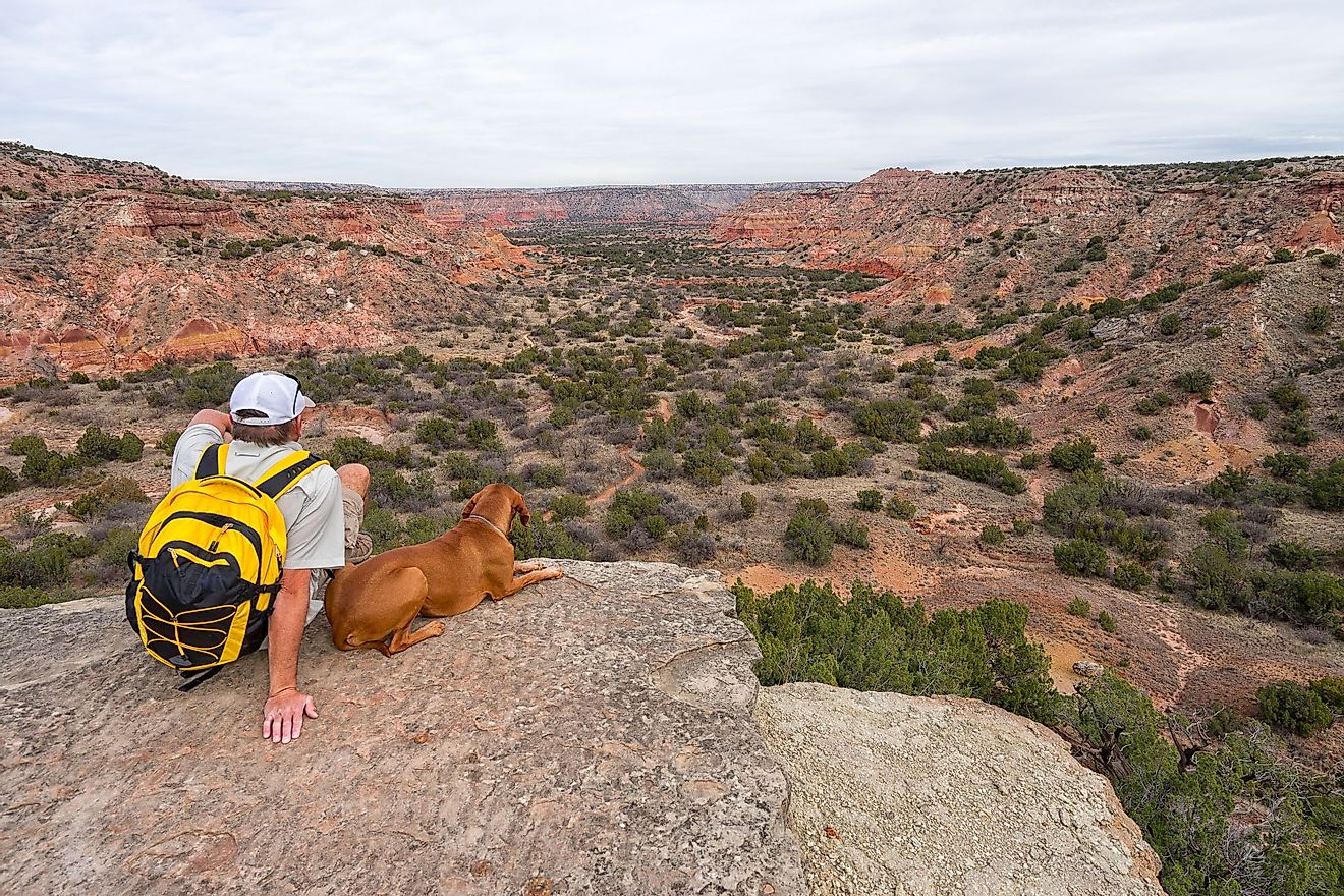 A man sitting on a cliff with his dog while taking a break from hiking the Palo Duro Canyon. 