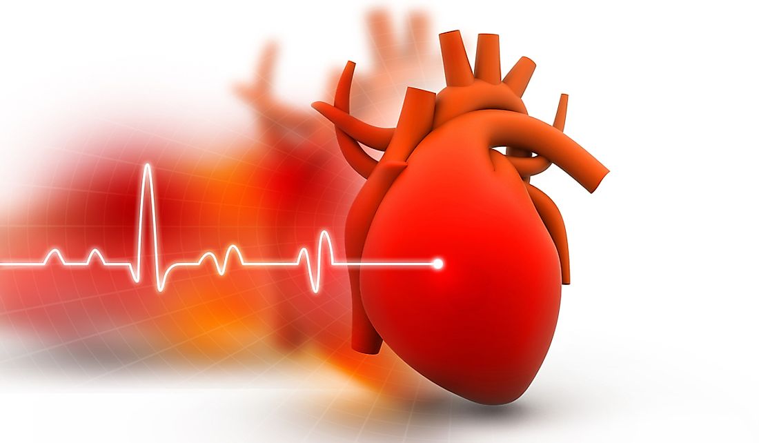 Coronary heart disease is responsible for approximately 8% of all deaths in the country.