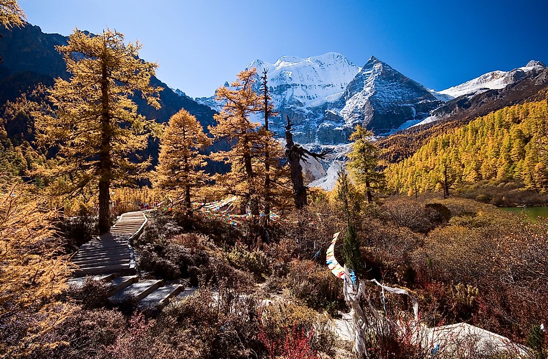 Autumn in the Yading Nature Reserve. 