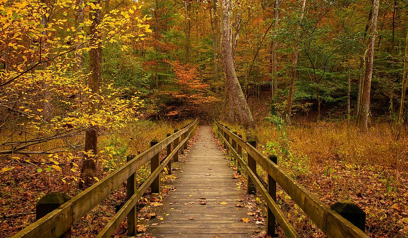 Nashville, Indiana / United States. Editorial credit: Michele Korfhage / Shutterstock.com